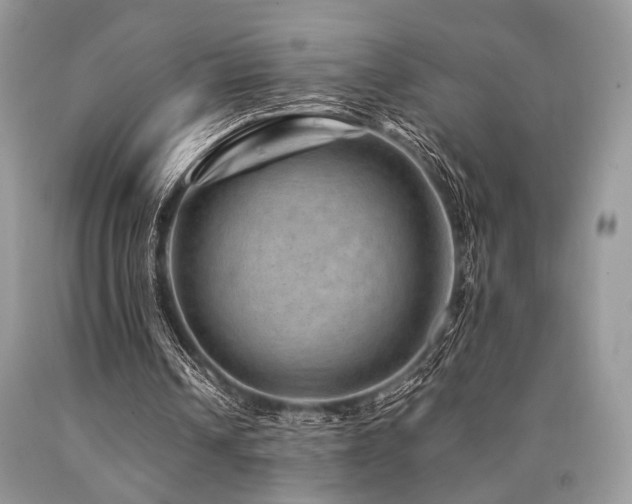 X0000090780242200707201529