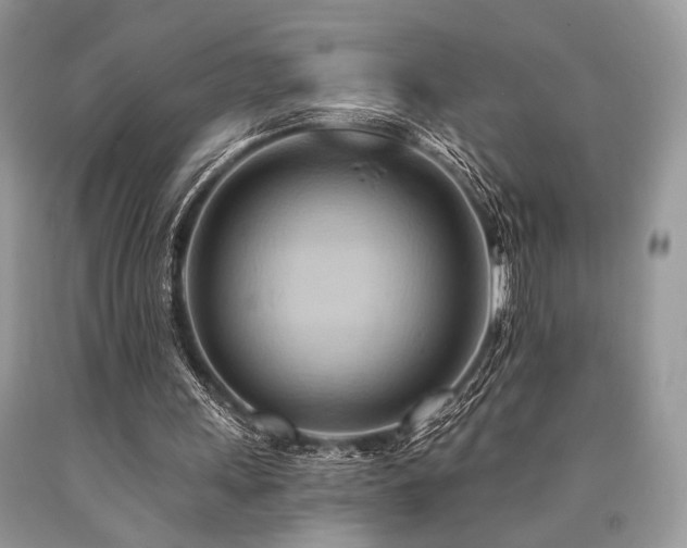 X0000090780243200707201529