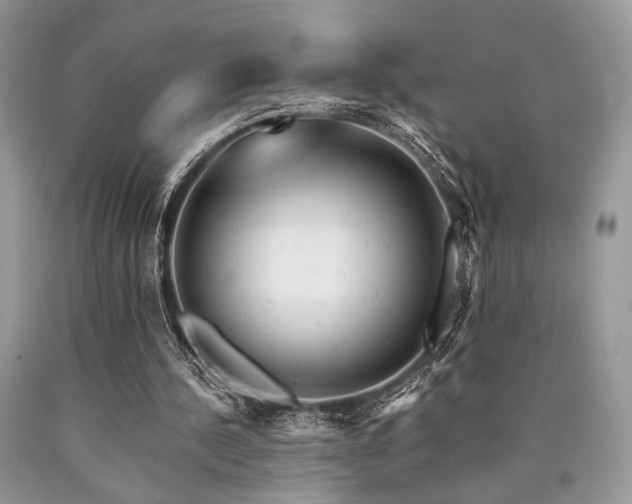 X0000090780244200707201529