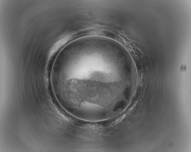 X0000090780245200707201529