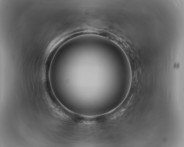 X0000090780247200707201529