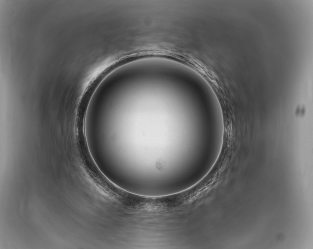 X0000090780248200707201529