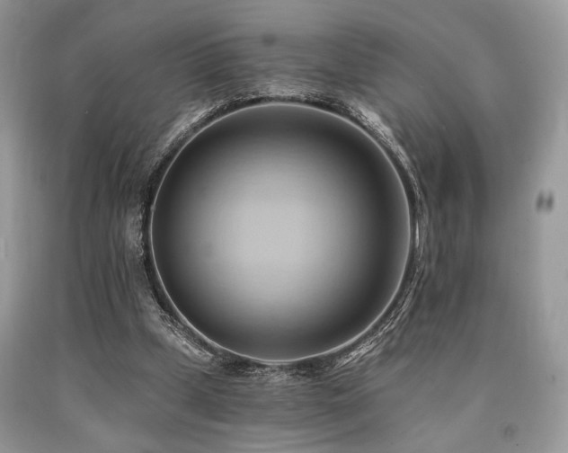 X0000090780249200707201529
