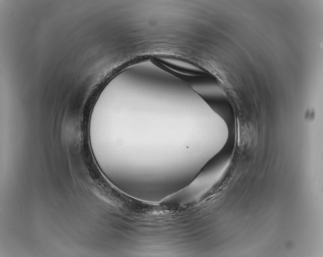 X0000090780252200707201529