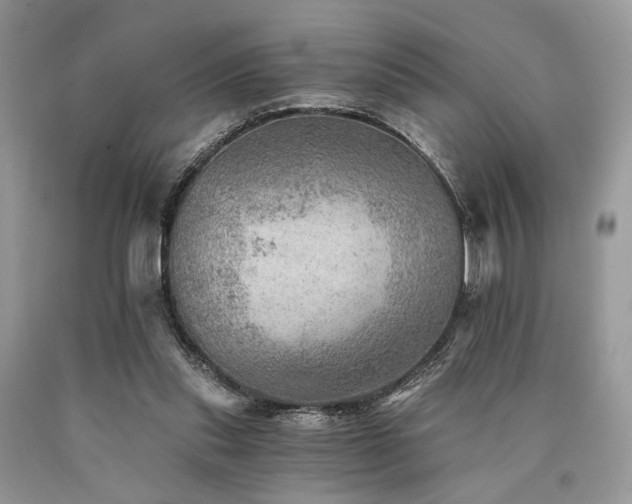 X0000090780253200707201529