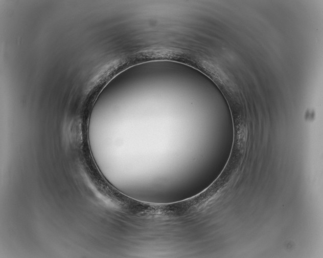 X0000090780254200707201529