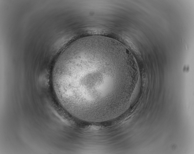 X0000090780255200707201529