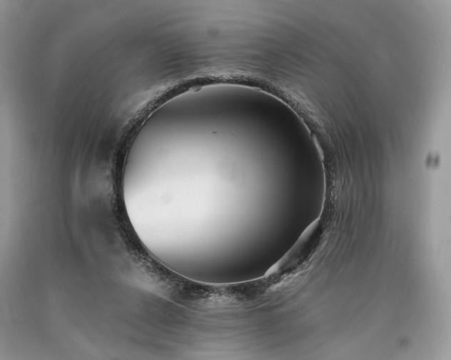 X0000090780256200707201529