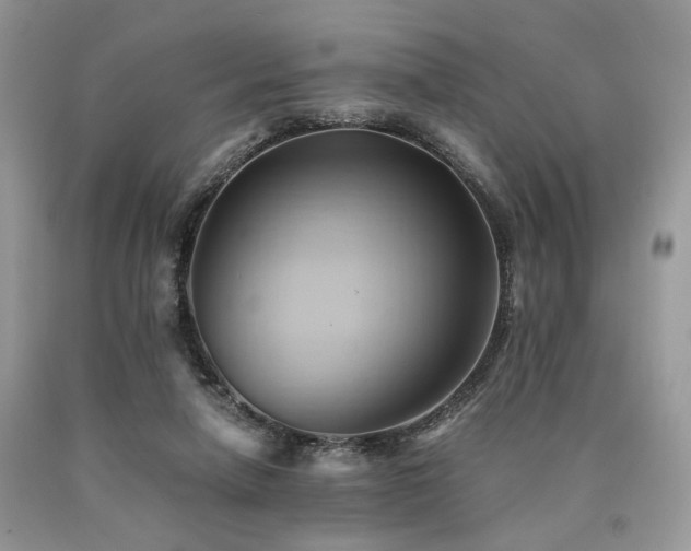 X0000090780258200707201529