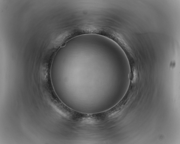 X0000090780259200707201530