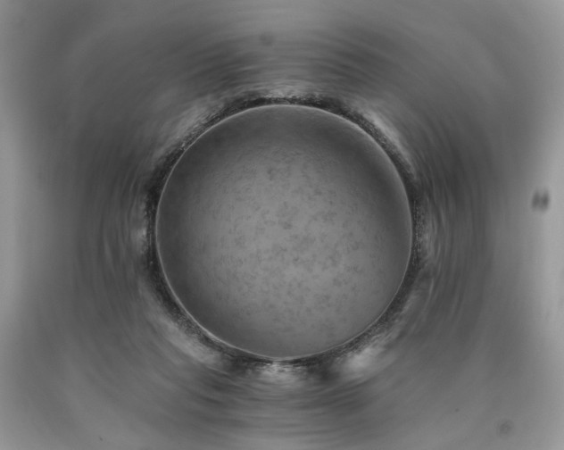 X0000090780261200707201530
