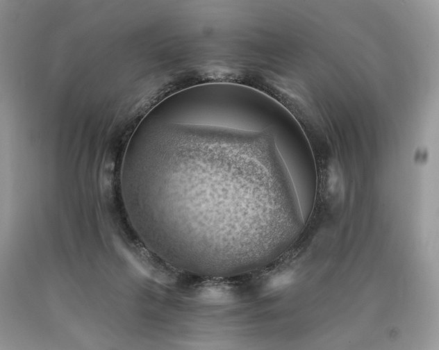 X0000090780263200707201530