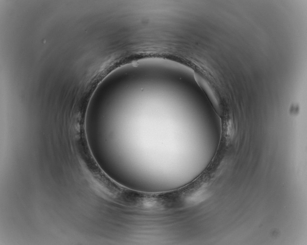 X0000090780264200707201530