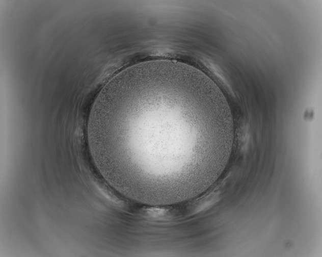 X0000090780265200707201530