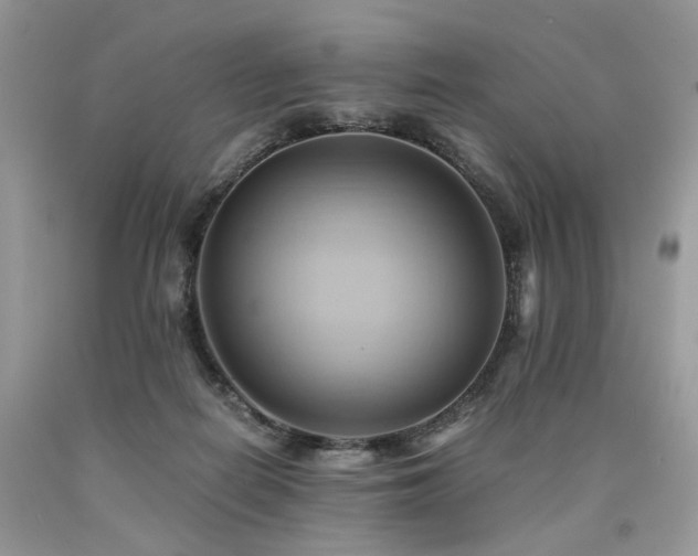 X0000090780266200707201530