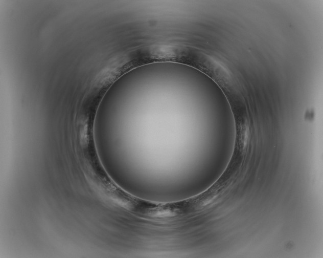X0000090780267200707201530