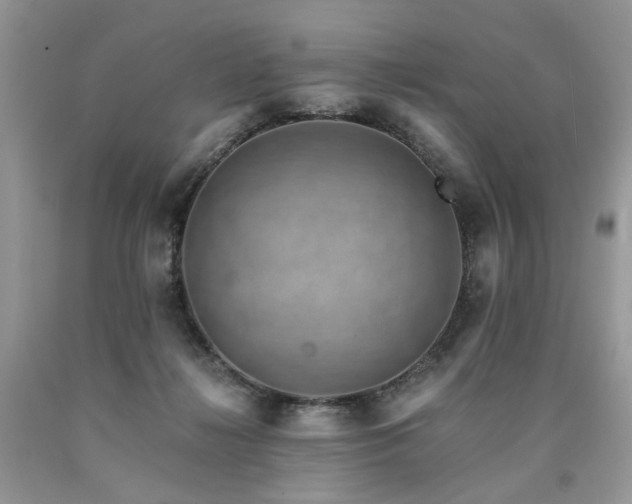 X0000090780268200707201530