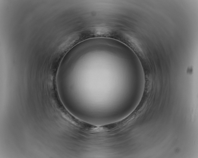 X0000090780269200707201530