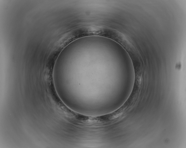 X0000090780270200707201530