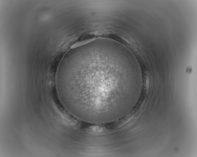 X0000090780272200707201530