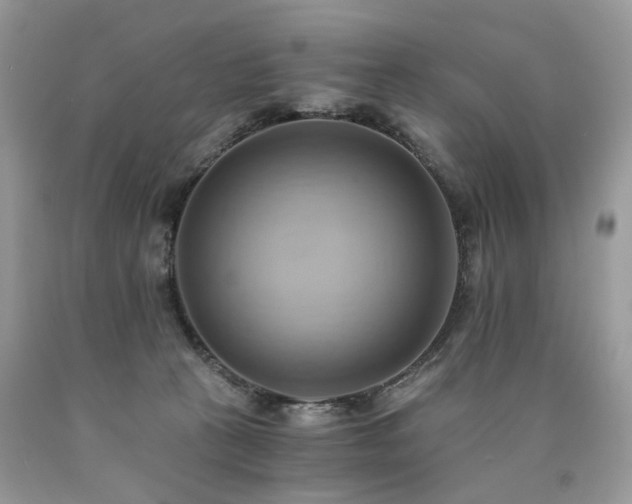 X0000090780273200707201530