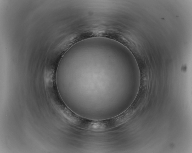 X0000090780275200707201530