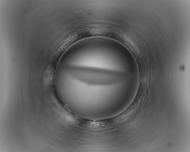 X0000090780277200707201530
