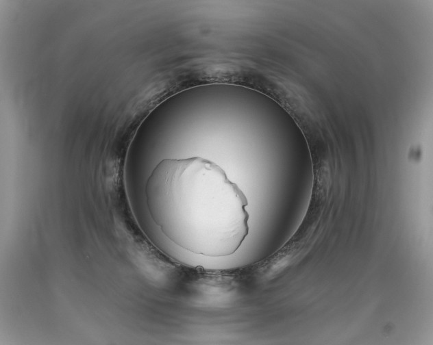 X0000090780278200707201530