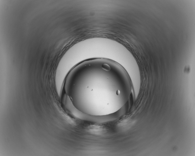 X0000090780280200707201530