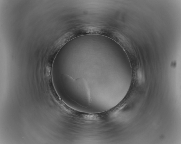X0000090780281200707201530