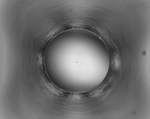 X0000090780282200707201530