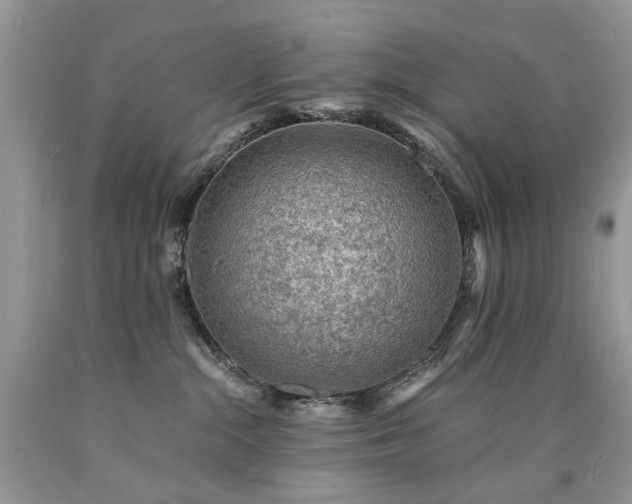 X0000090780284200707201530