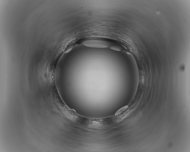 X0000090780285200707201530