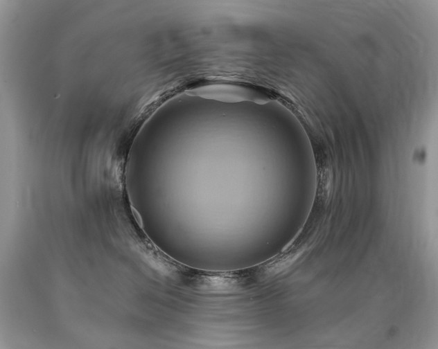 X0000090780286200707201530