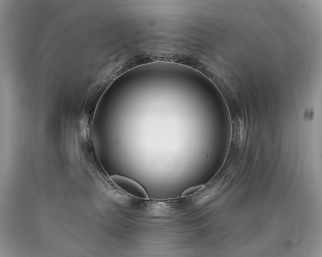 X0000090780287200707201530