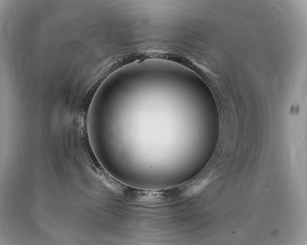 X0000090780288200707201530