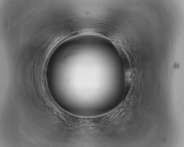 X0000090780289200707201529