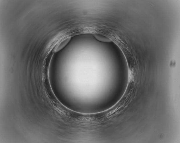 X0000090780291200707201529