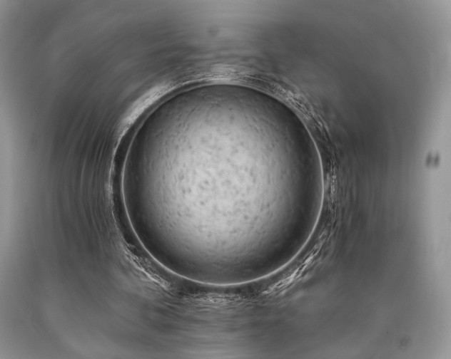 X0000090780292200707201529