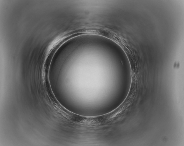X0000090780294200707201529