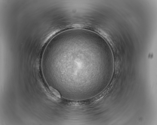 X0000090780297200707201529