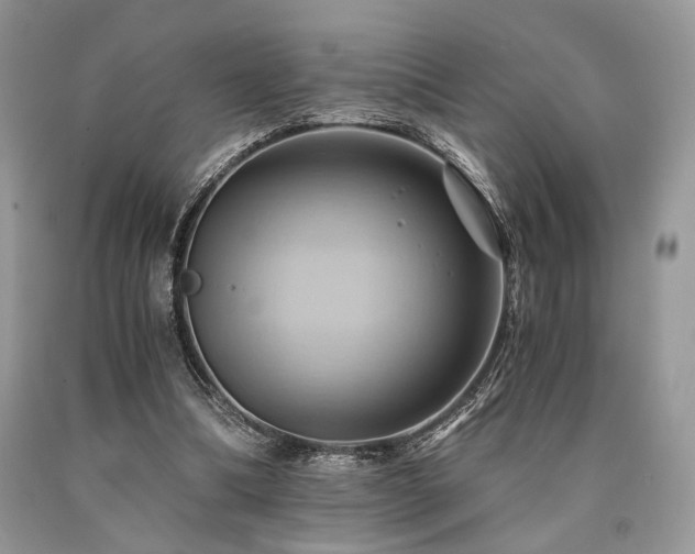 X0000090780298200707201529