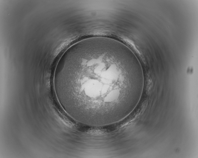 X0000090780299200707201529