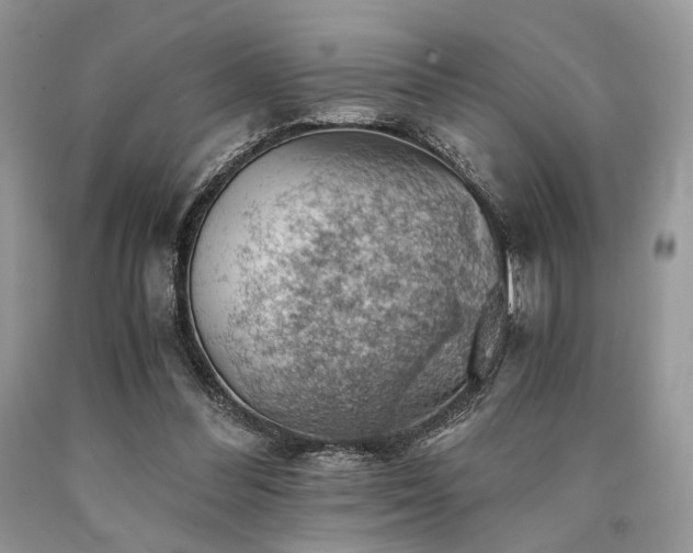 X0000090780300200707201529