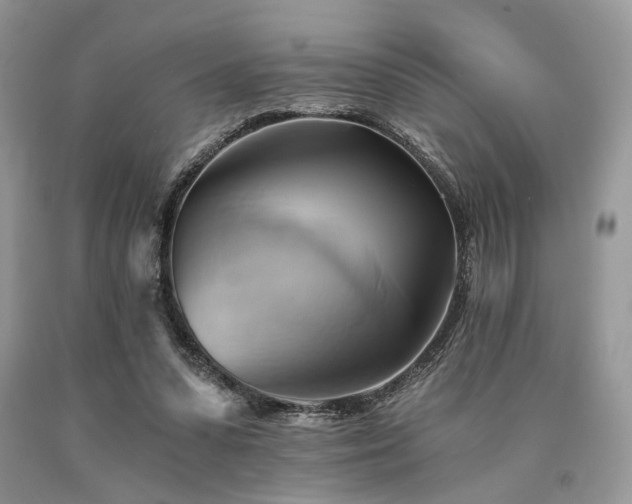 X0000090780303200707201529