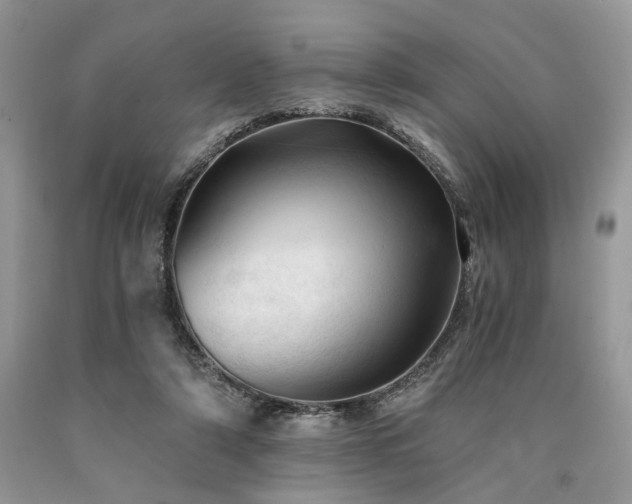 X0000090780306200707201529