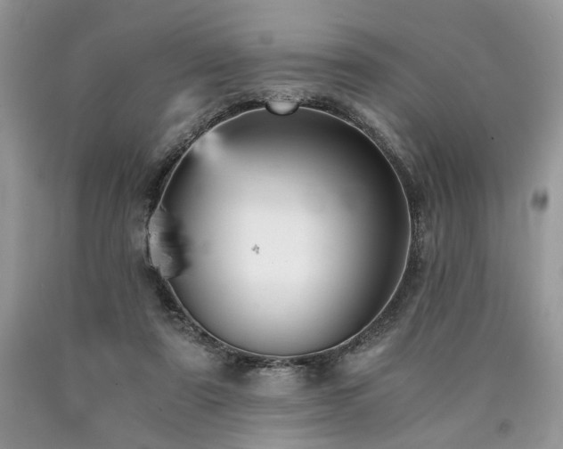 X0000090780307200707201529