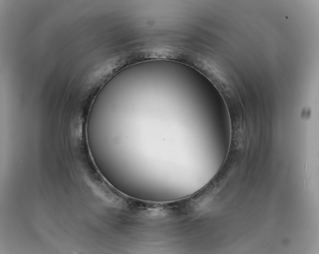 X0000090780310200707201529
