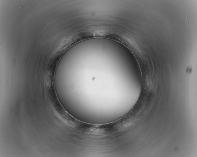 X0000090780311200707201529