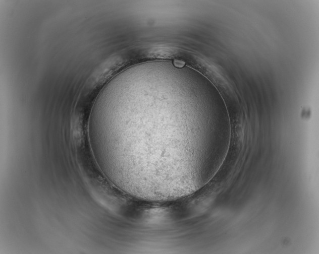 X0000090780312200707201529